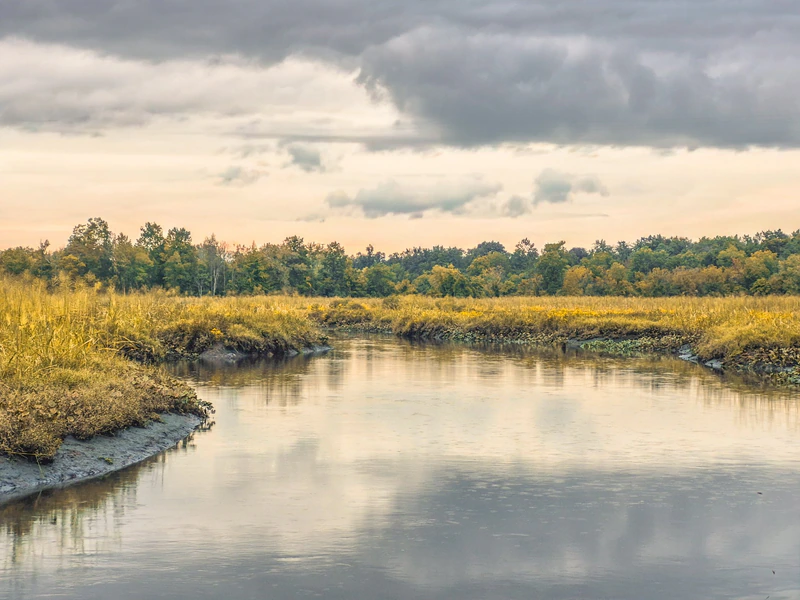 Evening on the Marsh — photograph by Gary Becker