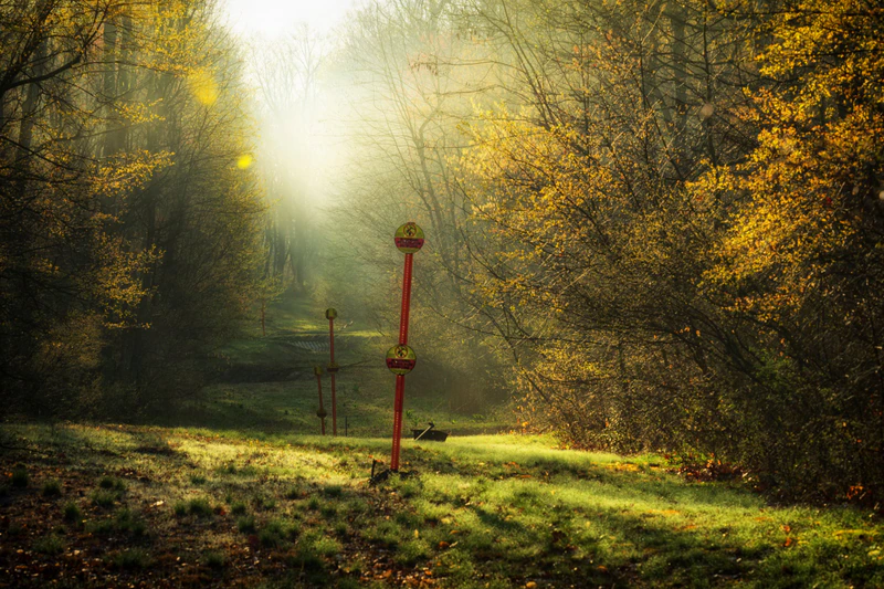 Scars — photograph by Jerry Flynn