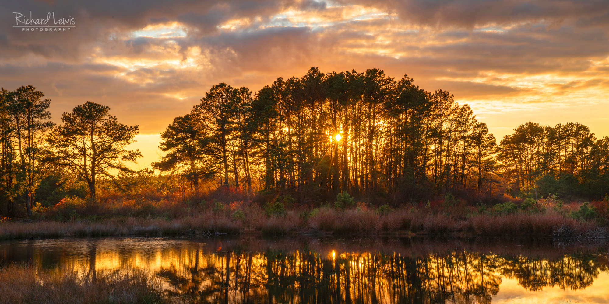 Photographing the New Jersey Pine Barrens